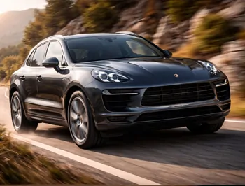 保时捷 TD 涡轮增压柴油发动机 ECU 刷阶