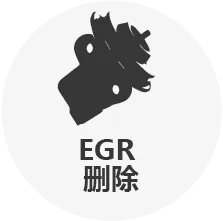 在适用的情况下，我们能够关闭废气再循环阀的软件功能和监控，使其能够被屏蔽。 有关更多信息，请参阅我们关于去除 EGR 的部分。